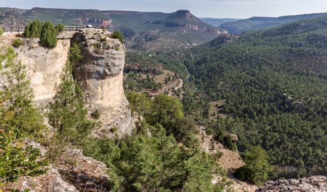 Los-parques-naturales-de-Guadalajara-ofrecen-18-rutas-y-actividades-extraordinarias-y-gratuitas-hasta-el-mes-de-diciembre