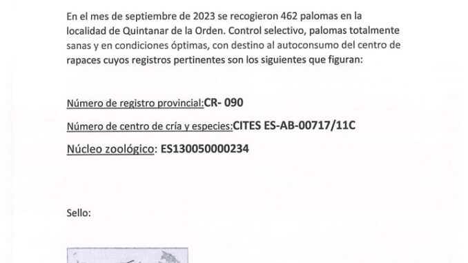 Continua-el-control-y-recogida-de-palomas-en-Quintanar-de-la-Orden
