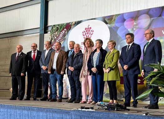 El-Gobierno-de-Garcia-Page-ha-concedido-desde-el-ano-2018-cerca-de-23-millones-euros-en-ayudas-VINATI-en-la-provincia-de-Ciudad-Real