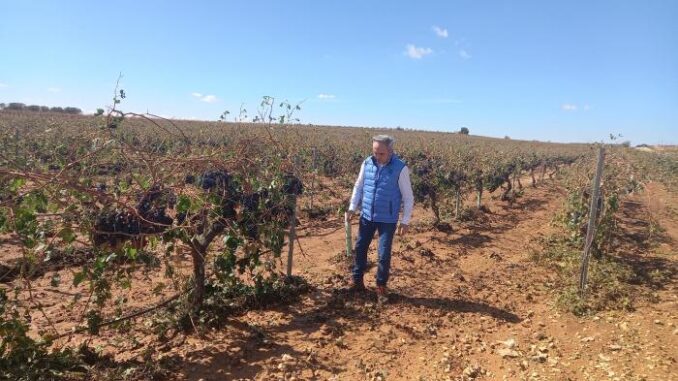El-Gobierno-regional-abona-457-millones-de-euros-del-anticipo-de-la-PAC-a-mas-de-14.000-agricultores-de-la-provincia-de-Cuenca