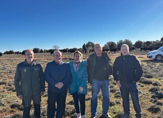 El-Gobierno-regional-acompana-a-la-ganaderia-de-Alicia-Chico-en-su-trashumar-por-la-provincia-de-Albacete-camino-de-Andalucia