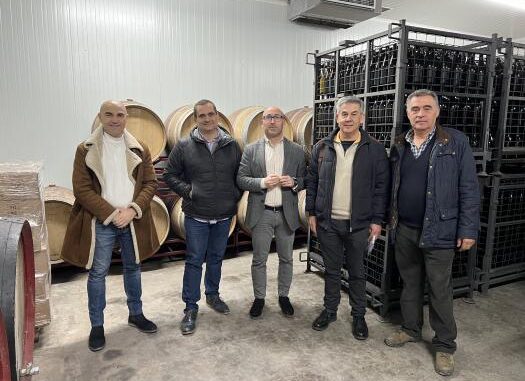 El-Gobierno-regional-resalta-el-papel-del-sector-vitivinicola-en-el-tejido-industrial-de-la-provincia-de-Albacete