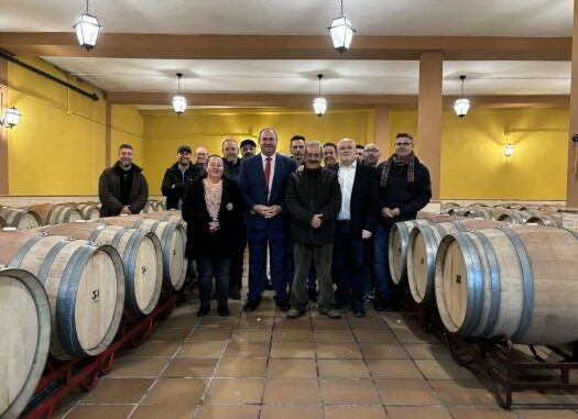 Castilla-La-Mancha-cierra-la-ultima-campana-con-una-produccion-definitiva-de-vino-y-mosto-de-175-millones-de-hectolitros