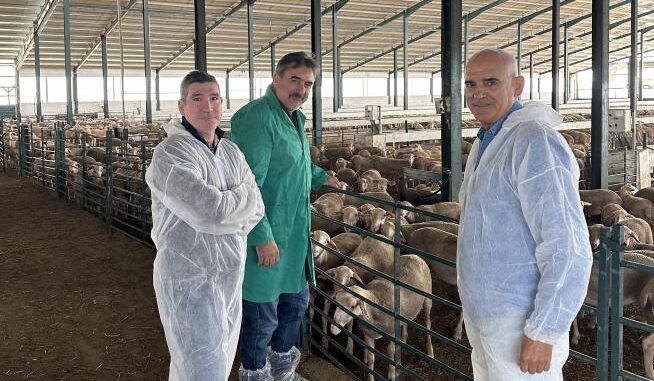 El-Gobierno-de-Castilla-La-Mancha-ha-reforzado-en-2023-el-trabajo-de-las-Agrupaciones-de-Defensa-Sanitaria-Ganadera-con-15-millones-de-euros