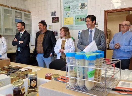 La-miel-de-Castilla-La-Mancha-se-situa-como-una-de-las-mejores-del-mundo-y-su-calidad-se-estudia-en-el-Centro-de-Investigacion-Apicola-del-Gobierno-regional