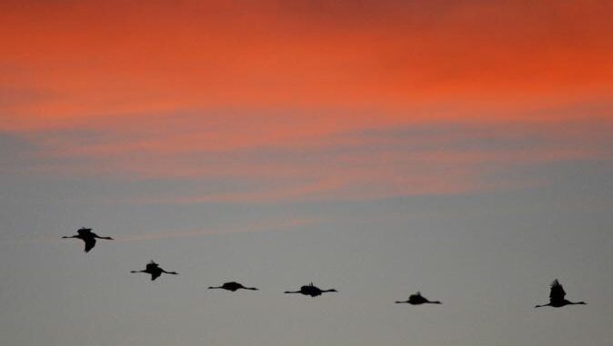 El-Gobierno-regional-pone-en-marcha-el-programa-de-educacion-ambiental-‘Natura-Primavera-con-trece-actividades-entre-marzo-y-junio