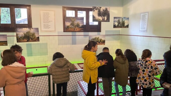 Turismo-continua-organizando-visitas-para-el-alumnado-de-Illescas