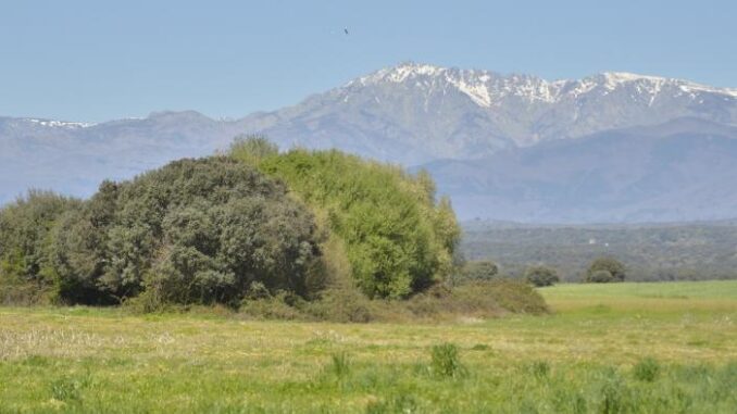 El-Gobierno-de-Castilla-La-Mancha-conmemora-el-Dia-Internacional-de-los-Bosques-con-numerosas-actividades-de-educacion-ambiental-en-toda-la-region