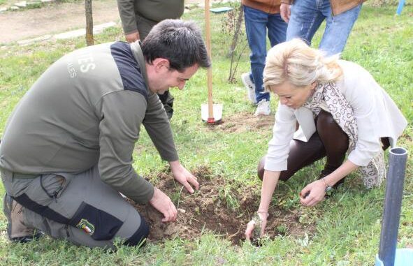 El-Gobierno-regional-celebra-el-Dia-Internacional-de-los-Bosques-con-escolares-de-toda-la-provincia
