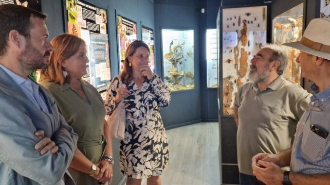 El-Gobierno-regional-destina-mas-de-124.000-euros-a-los-dos-proyectos-del-actual-Plan-de-Empleo-en-Molina-de-Aragon