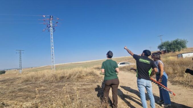 El-Gobierno-regional-destina-107-millones-de-euros-a-proteger-la-avifauna-de-colisiones-y-electrocuciones-corrigiendo-y-adaptando-mas-de-5.500-apoyos-electricos-peligrosos