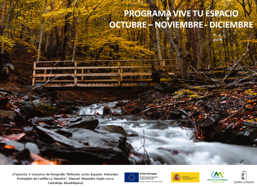 El-Gobierno-regional-organiza-mas-de-50-actividades-gratuitas-para-este-otono-a-traves-del-programa-de-educacion-y-sensibilizacion-ambiental-‘Vive-tu-Espacio
