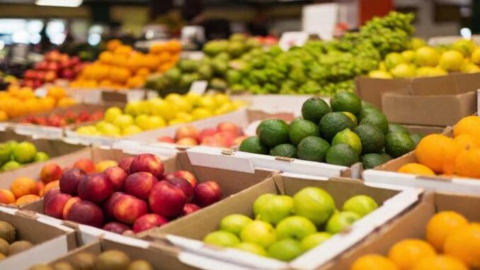 El-Gobierno-regional-publicara-la-proxima-semana-la-convocatoria-para-la-participacion-en-el-Programa-Escolar-de-Consumo-de-Frutas-Hortalizas-y-Leche-durante-el-curso-2024-2025