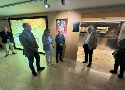 El-Gobierno-regional-amplia-las-instalaciones-del-Museo-de-Paleontologia-de-Castilla-La-Mancha-con-una-nueva-sala-expositiva