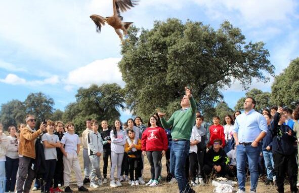 El-Gobierno-regional-libera-en-Oropesa-a-cinco-aves-rapaces-recuperadas-y-criadas-en-el-CERI-de-Sevilleja-de-la-Jara