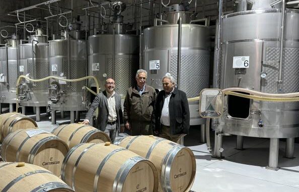 El-Gobierno-de-Castilla-La-Mancha-destina-28-millones-de-euros-en-ayudas-VINATI-para-apoyar-a-nueve-empresas-vitivinicolas-en-la-provincia-de-Albacete