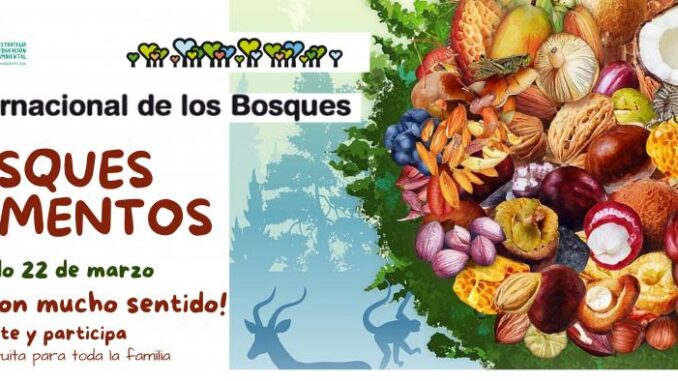 El-Gobierno-de-Castilla-La-Mancha-celebrara-el-Dia-de-los-Bosques-con-mucho-sentido-una-ruta-interpretada-y-la-propuesta-‘banos-de-bosque