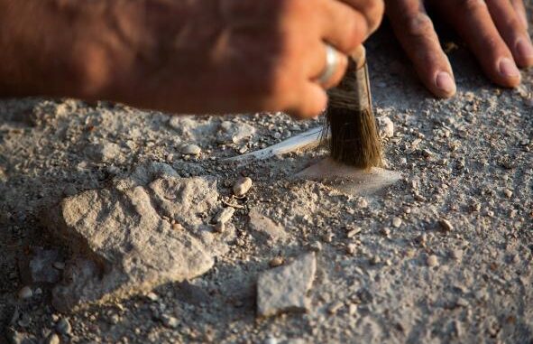 El-Gobierno-regional-convoca-las-subvenciones-para-la-realizacion-de-proyectos-de-investigacion-del-patrimonio-arqueologico-y-paleontologico
