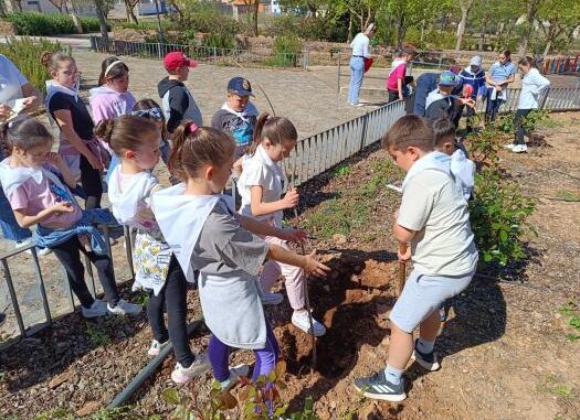 El-Gobierno-regional-fomenta-el-conocimiento-y-conservacion-del-medio-ambiente-en-el-alumnado-de-San-Carlos-del-Valle-dentro-de-su-programa-de-innovacion-educativa