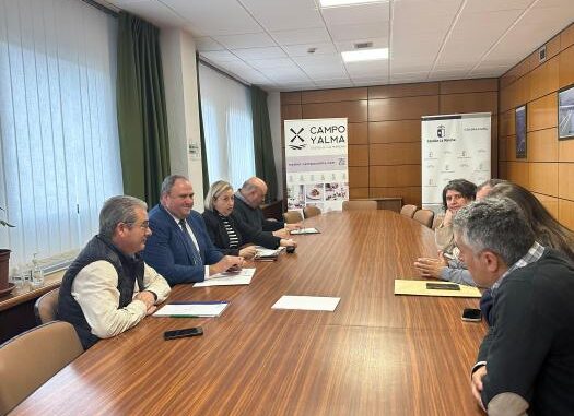 La-IGP-Esparrago-Verde-de-Guadalajara-recibira-un-reconocimiento-en-los-Premios-Gran-Seleccion-Campo-y-Alma