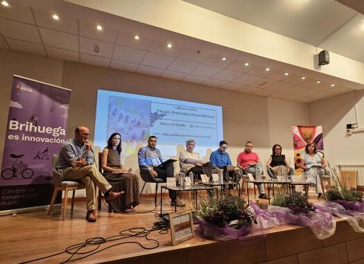 El-Gobierno-de-Castilla-La-Mancha-ha-destinado-al-cultivo-de-plantas-aromaticas-25-millones-de-euros-desde-2017