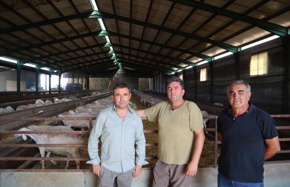 El-Gobierno-regional-ha-abonado-mas-de-38-millones-de-euros-a-los-ganaderos-de-ovino-y-caprino-en-la-campana-de-la-PAC-de-2024