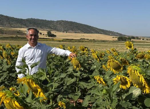 El-Gobierno-regional-forma-a-mas-de-600-agricultores-de-Cuenca-en-el-curso-de-girasol-agroambiental-de-la-PAC-2025
