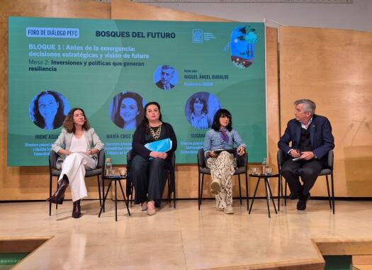El-Gobierno-regional-comparte-su-estrategia-para-la-conservacion-de-los-bosques-ante-la-emergencia-climatica-en-el-foro-‘Bosques-para-el-futuro