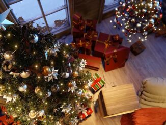 festive-season-7566216_1280