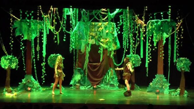 Teatro-infantil-exposiciones-y-el-mercado-solidario-de-SOLMAN-conforman-la-programacion-cultural-de-la-Junta-en-Ciudad-Real