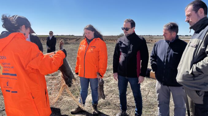 El-Gobierno-de-Castilla-La-Mancha-presenta-dos-nuevos-equipos-para-hacer-frente-a-la-sobrepoblacion-del-conejo-de-monte-tanto-durante-el-dia-como-por-la-noche