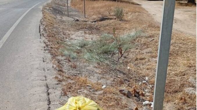 Las-brigadas-de-carreteras-del-Gobierno-regional-recogen-8.853-bolsas-de-basura-y-132.000-kilos-de-residuos-de-las-cunetas-y-bordes-de-la-Red-regional-de-Carreteras