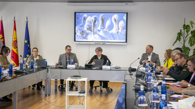 El-Gobierno-de-Castilla-La-Mancha-constituye-la-Mesa-Regional-del-Conejo-de-Monte-para-coordinar-la-lucha-contra-la-sobrepoblacion-de-la-especie-en-el-territorio
