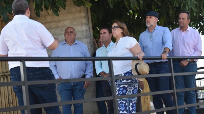 El-Gobierno-regional-ha-destinado-en-los-ultimos-anos-mas-de-807.000-euros-a-la-conservacion-difusion-e-investigacion-de-la-villa-romana-de-El-Saucedo