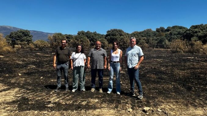 El-Gobierno-regional-visita-La-Iglesuela-del-Tietar-Toledo-para-seguir-valorando-los-danos-ocasionados-por-el-incendio-en-explotaciones-agrarias-y-ganaderas