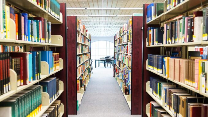El-Gobierno-de-Castilla-La-Mancha-concede-cerca-de-140.000-euros-para-el-apoyo-de-39-bibliotecas-municipales-de-la-provincia-de-Ciudad-Real