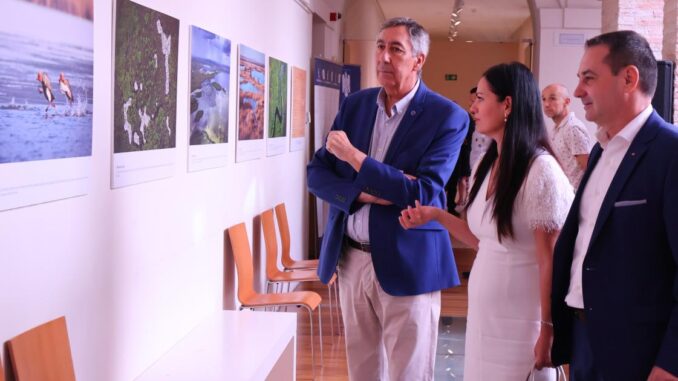 El-Gobierno-regional-destaca-el-valor-educativo-medioambiental-y-cultural-de-la-exposicion-‘Delta-Salvaje-inaugurada-en-el-Museo-de-la-Merced