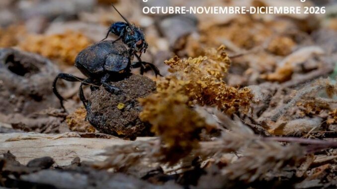El-Gobierno-regional-invita-a-descubrir-los-espacios-naturales-de-Castilla-La-Mancha-este-otono-con-mas-de-una-treintena-de-actividades-gratuitas